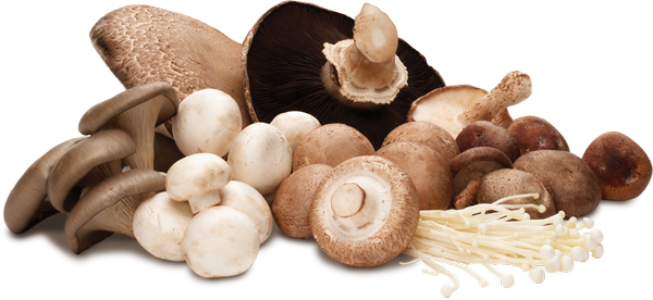 Th&agrave;nh tựu đạt được của Trung t&acirc;m