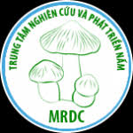 Qu&aacute; tr&igrave;nh th&agrave;nh lập v&agrave; ph&aacute;t triển